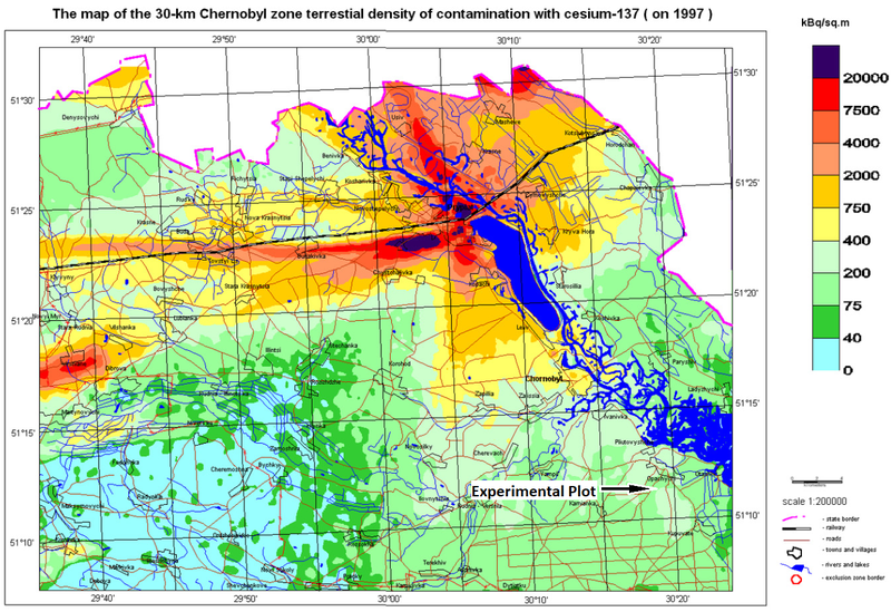 The location of the experimental plot where the grain used to produce the vodka was grown. The map itself is from 1997, showing the distribution of radioactive cesium in the exclusion zone.